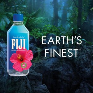 Fiji Natürliches Artesisches Wasser 500ml